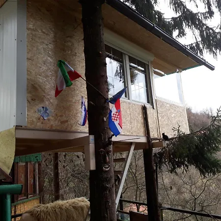 House On Tree * Visoko