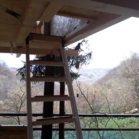 House On Tree * Visoko