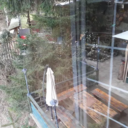 House On Tree Vikendica *