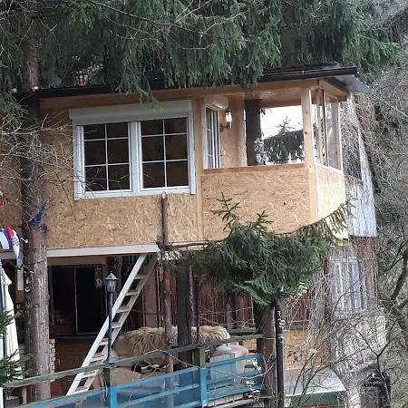 House On Tree Visoko