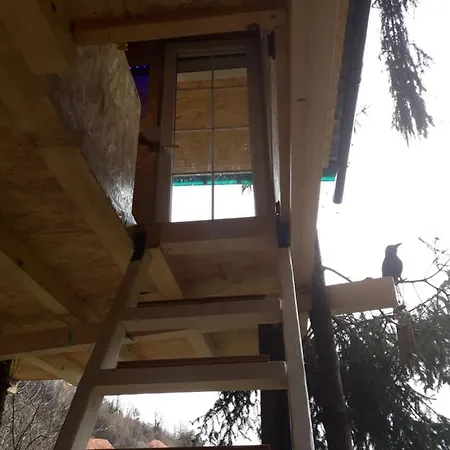 House On Tree * Visoko